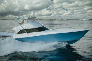61 Viking The Good Life- Profile 