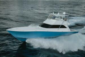 61 Viking The Good Life- Profile 