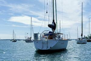 Acadia 38ft Tartan Yacht For Sale