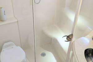 2004 Meridian 411 thumbnail 24