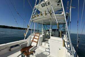 2007 Topaz 40 Express thumbnail 27