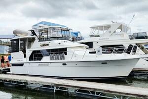 Now or Never 44ft Carver Yacht For Sale