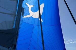 2019-saona-47-sail-9956459-20250923152857113-1.jpg