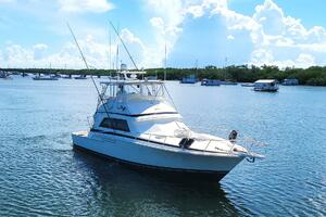 Trophy Hunter 50ft Bertram Yacht For Sale