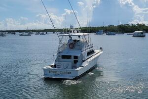 Trophy Hunter 50ft Bertram Yacht For Sale