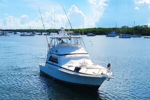 Trophy Hunter 50ft Bertram Yacht For Sale