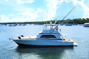 Trophy Hunter 50ft Bertram Yacht For Sale