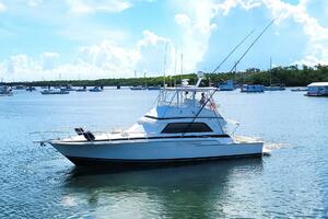 Trophy Hunter 50ft Bertram Yacht For Sale