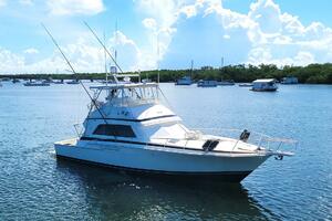 Trophy Hunter 50ft Bertram Yacht For Sale