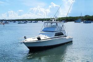 Trophy Hunter 50ft Bertram Yacht For Sale