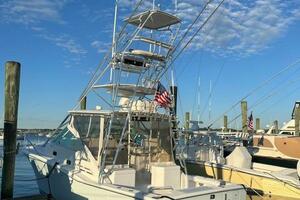 Legacy 31ft Cabo Yacht For Sale