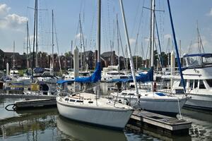 Credo 30ft Catalina Yacht For Sale