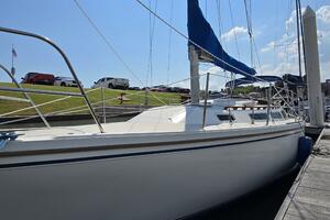 Credo 30ft Catalina Yacht For Sale