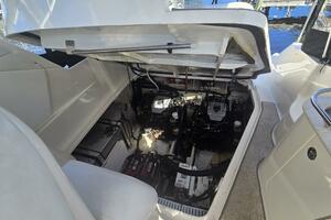 Gib N Tone 35ft Sea Ray Yacht For Sale