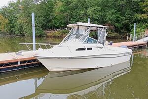 Reel Delight 23ft Grady White Yacht For Sale