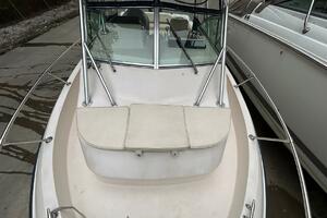 Reel Delight 23ft Grady White Yacht For Sale