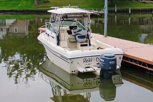 Reel Delight 23ft Grady White Yacht For Sale