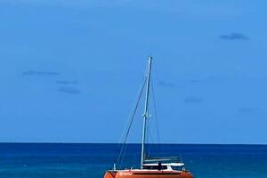 2021-balance-482-sail-9783843-20250507055942529-1_XLARGE.jpg