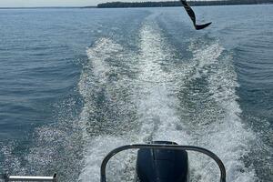 22ft Godfrey Yacht For Sale