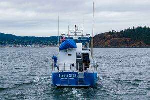 1978 Seaton thumbnail 44