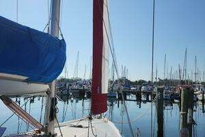 2020 Jeanneau Sun Odyssey 410 thumbnail 17