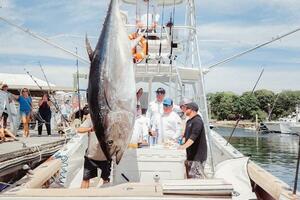 Yacht for sale DOUBLE DOWN