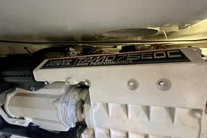 Fun Bunch 39ft Bertram Yacht For Sale