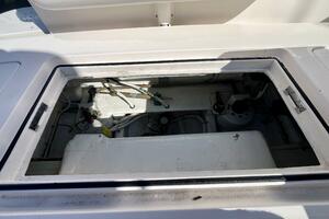 Fun Bunch 39ft Bertram Yacht For Sale