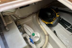 Fun Bunch 39ft Bertram Yacht For Sale