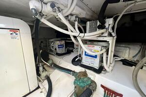 Fun Bunch 39ft Bertram Yacht For Sale