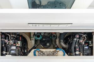 True Story 40ft Cabo Yacht For Sale