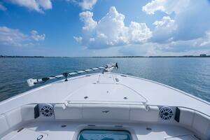 2024 Tidewater 3100 Carolina Bay thumbnail 7
