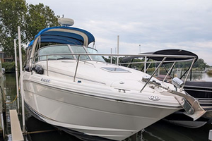 NO NAME 30ft SEARAY Yacht For Sale