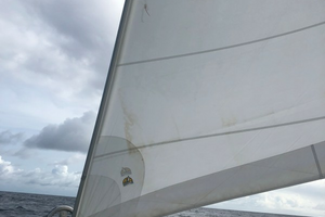 Used Sail Catamaran for sale