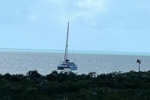 44ft Dolphin Yacht For Sale