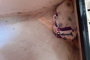 37ft Intrepid Yacht For Sale