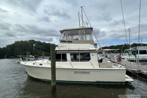 34' Sabreline port profile