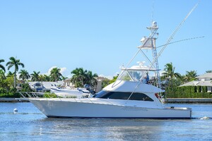 Viking 54 Day Sea - Profile