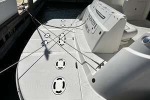 2008 Sea Ray 47 SEDAN BRIDGE thumbnail 8