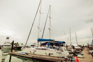 PRIMO 38ft Jeanneau Yacht For Sale