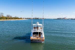 Amore Mia 46ft Viking Yacht For Sale