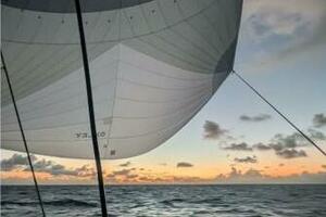 Momentum 42ft Leopard Yacht For Sale