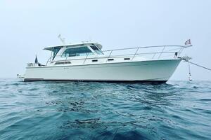 Serendipity  38ft Sabre Yacht For Sale
