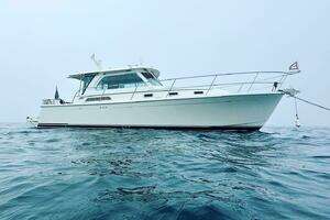 2019 Sabre 38 Salon Express thumbnail 16