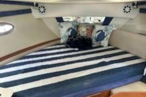 2008 Bayliner 320 thumbnail 6