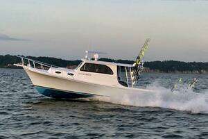 2019 Judge 36 Chesapeake thumbnail 12