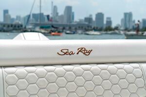 31ft Sea Ray Yacht For Sale