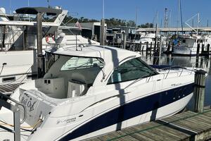 Bail Out 39ft Cruisers Yachts Yacht For Sale