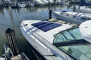Bail Out 39ft Cruisers Yachts Yacht For Sale
