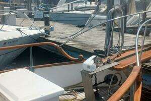1977 Grand Banks 36 Classic thumbnail 3